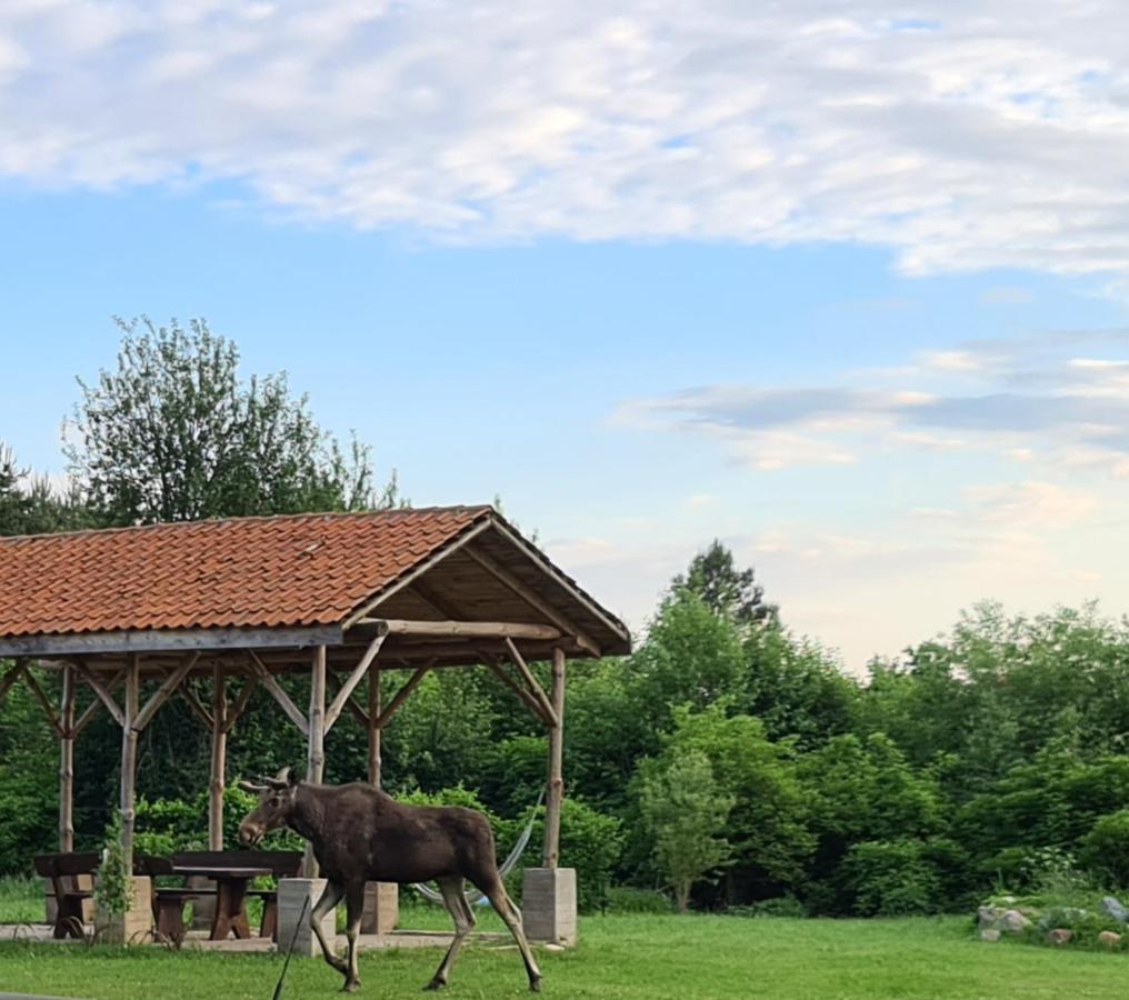 Swojski Gosciniec Prazmowo Luaran gambar